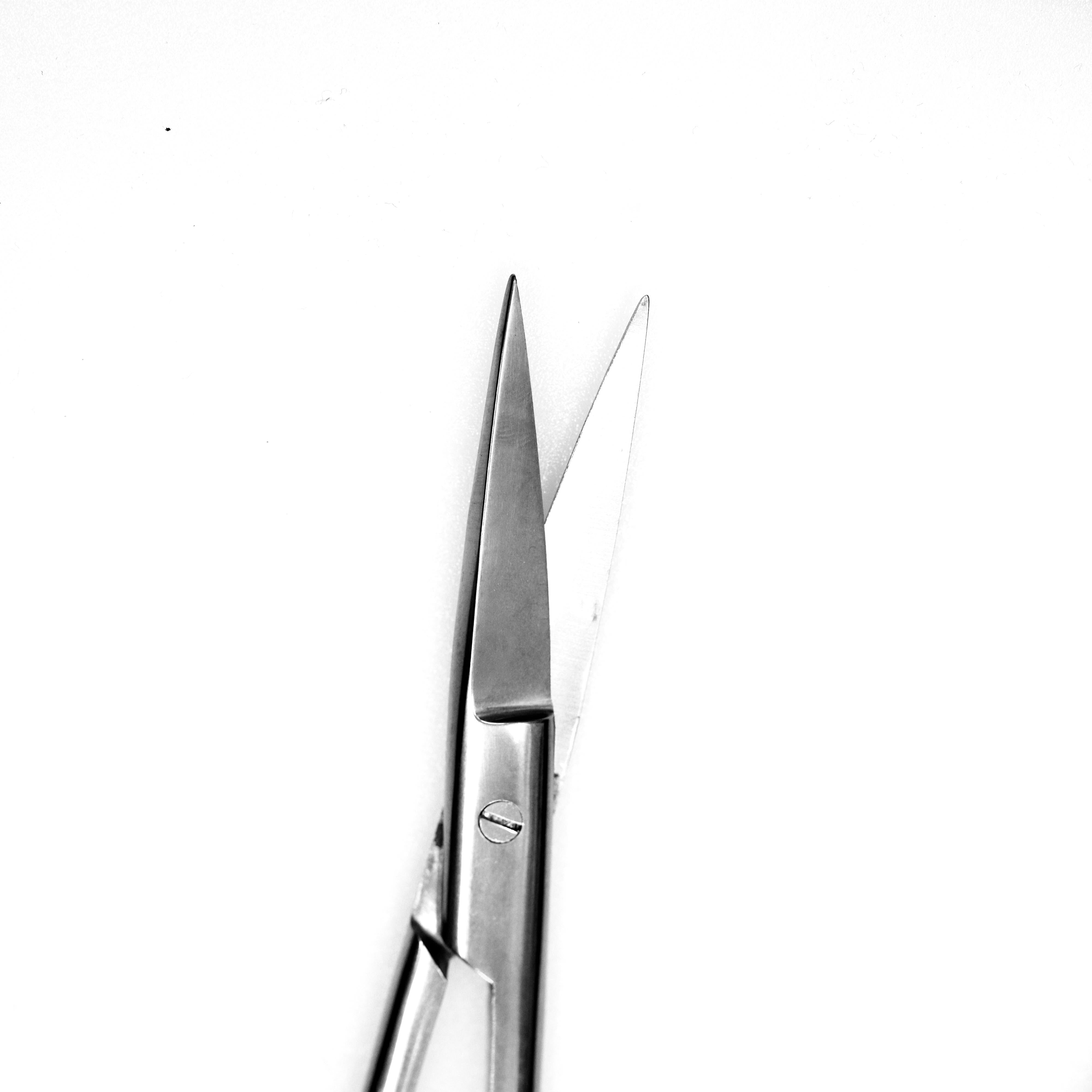 מספריים גדולות