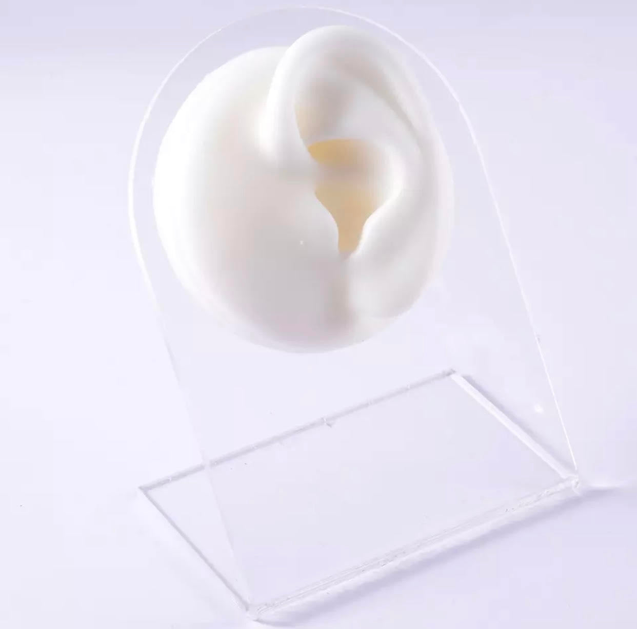 אוזן ימין- לבן עם מעמד