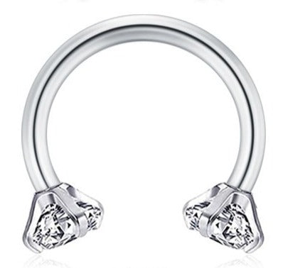 פרסה משובצת- מתכת רפואית