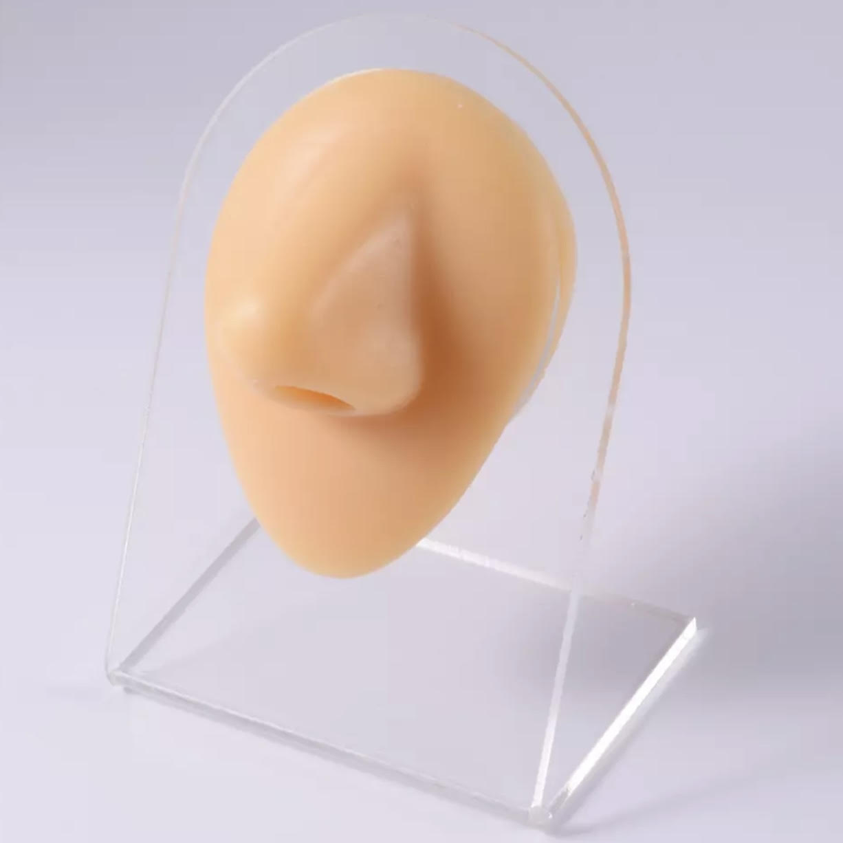 אף צבע גוף עם מעמד