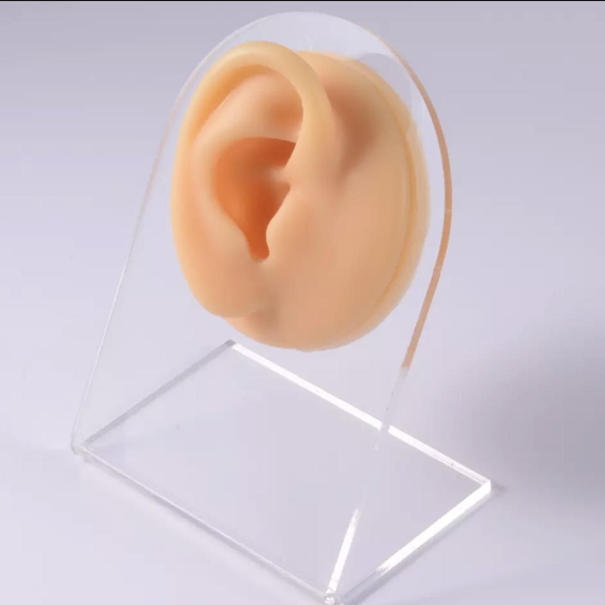 אוזן שמאל- צבע גוף עם מעמד